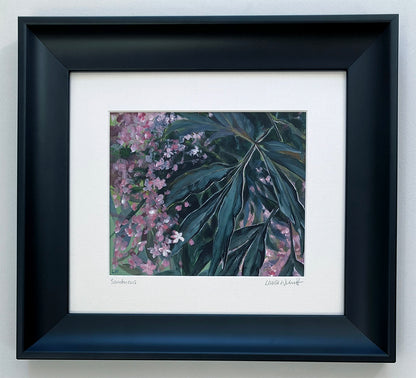 Sambucus