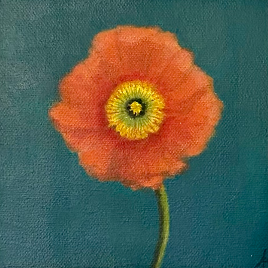 Poppy
