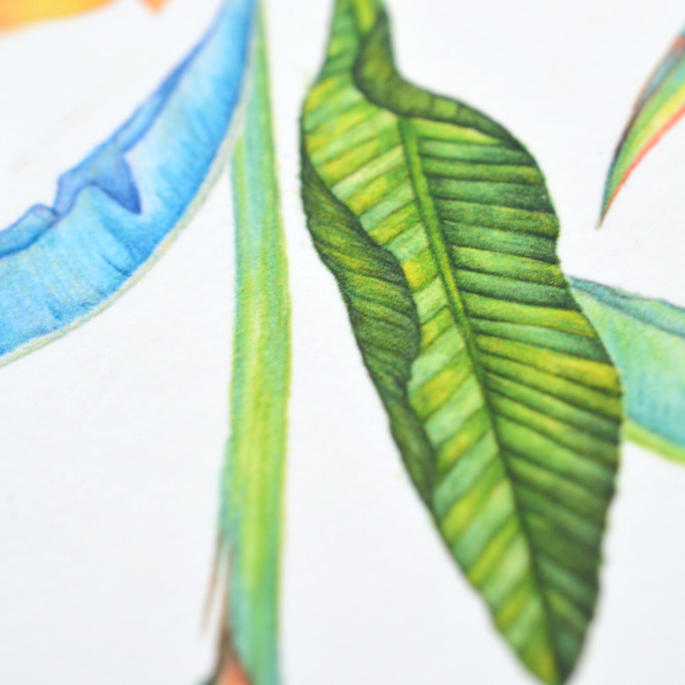 Bali Botanical Mandala Art Print - JOYFULNESS
