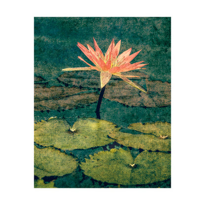 Water Lily by Lily Glover