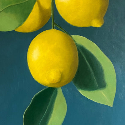 Lemon Branch