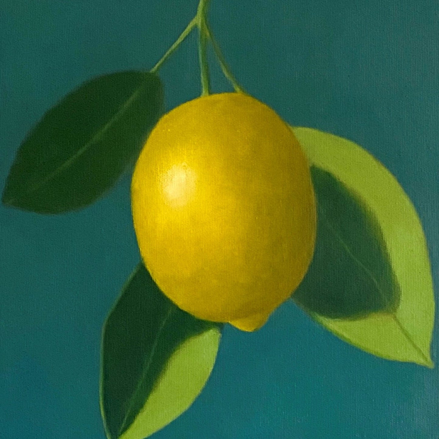 Yellow lemon with green leaves on a solid blue background
