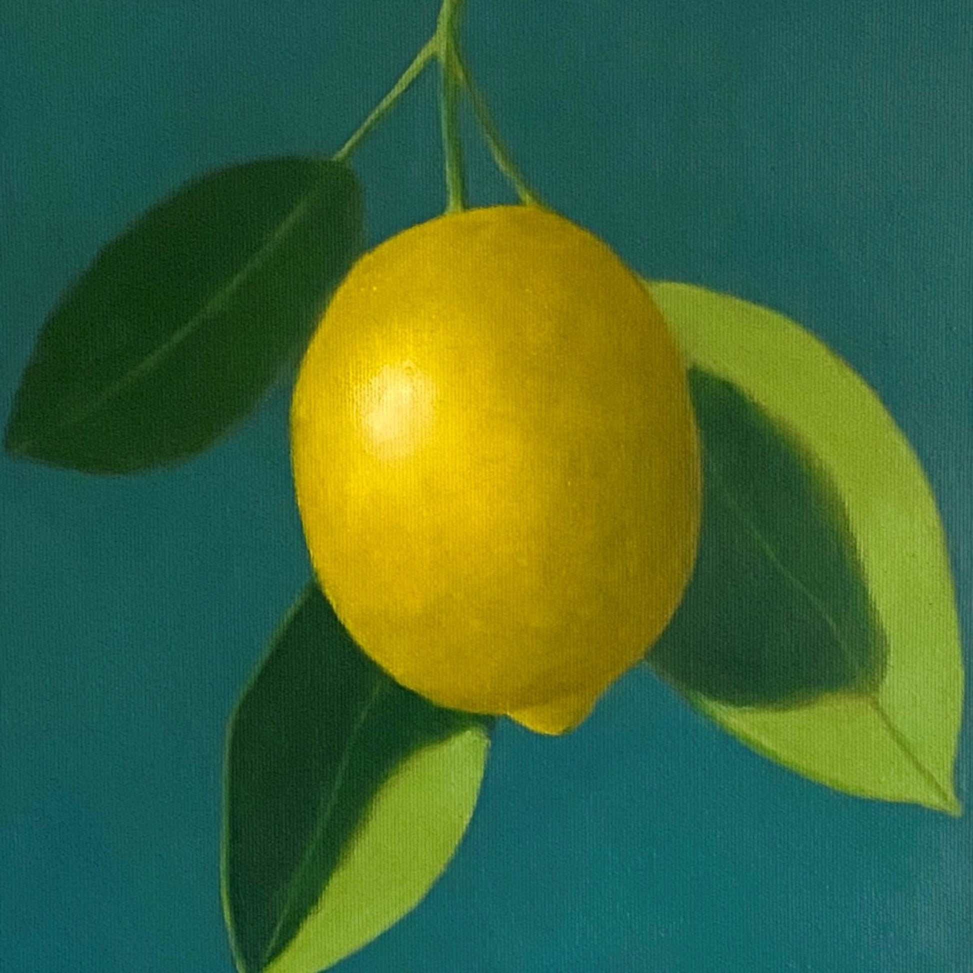 Yellow lemon with green leaves on a solid blue background