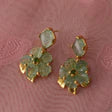 Rosa Strawberry Onyx Diopside Earrings